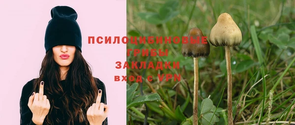 дурь Баксан