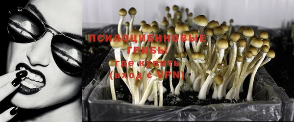 мдпв Балабаново