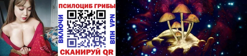 МЕГА tor  Курлово  сайты даркнета состав  Псилоцибиновые грибы MAGIC MUSHROOMS 
