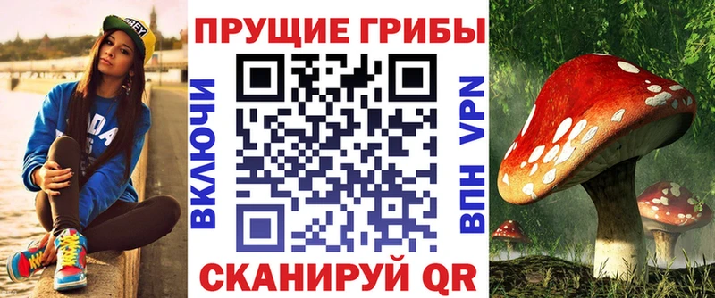 Галлюциногенные грибы прущие грибы Курлово