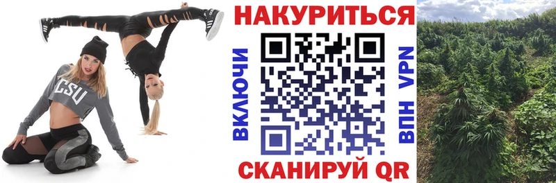купить сайты shop наркотические препараты KRAKEN зеркало Канабис White Widow Курлово